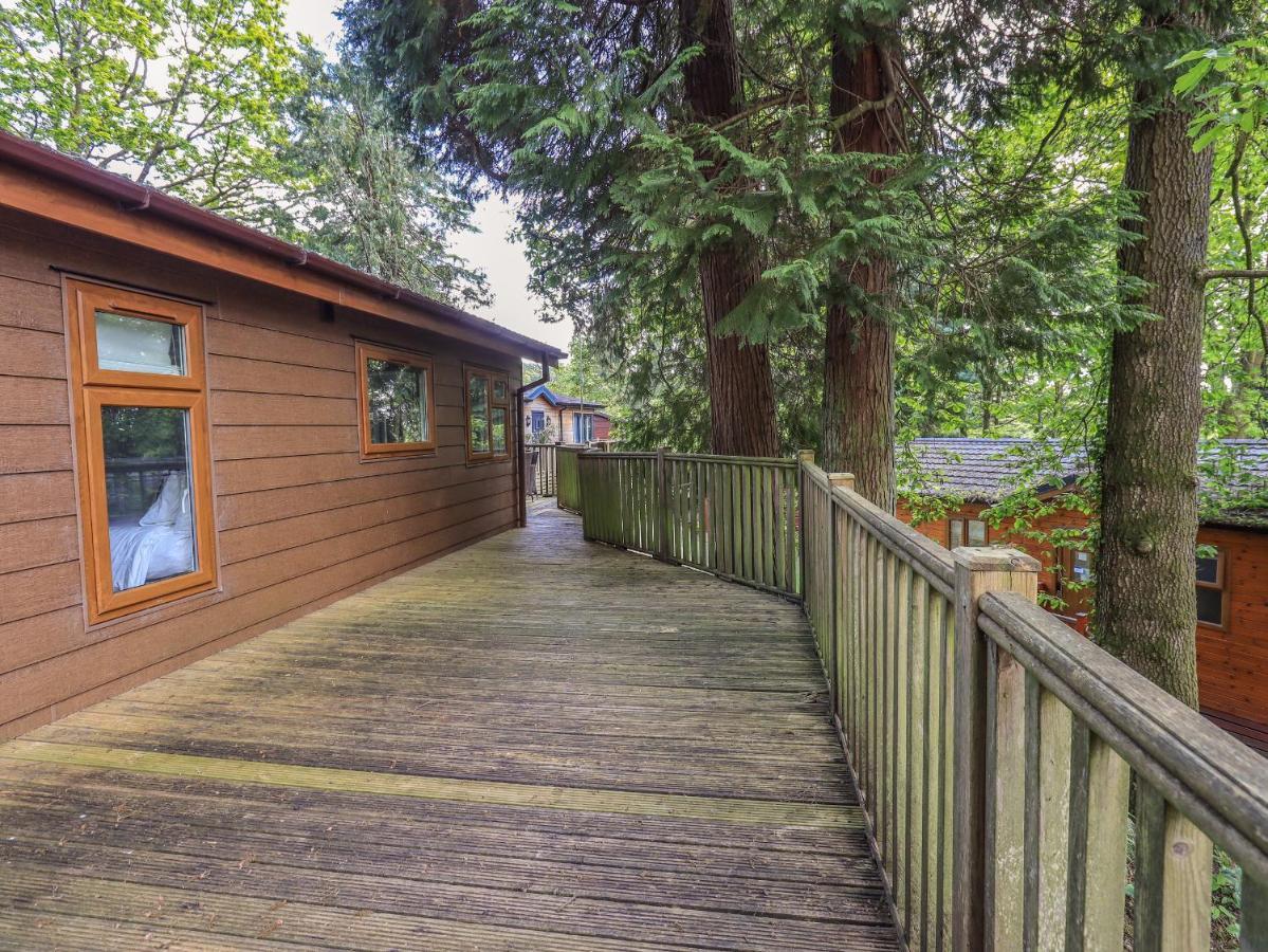 Forest Pines Lodge باونيس أون وينديرمير المظهر الخارجي الصورة